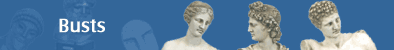 Busts